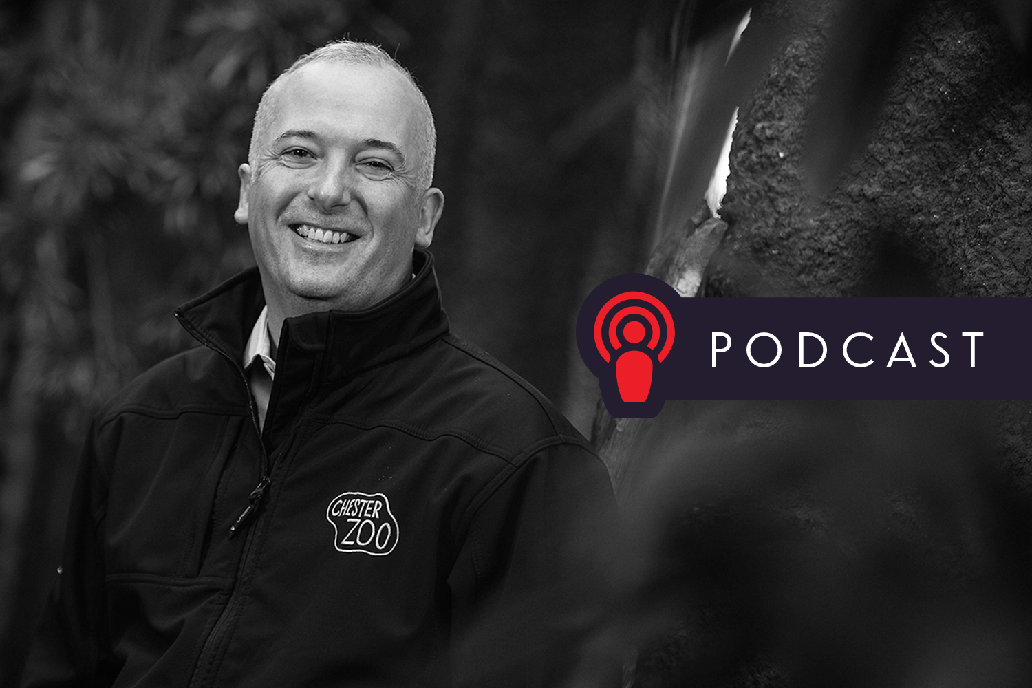 Podcast: Meet the Man Behind Chester Zoo’s Record Breaking Year - LUYA